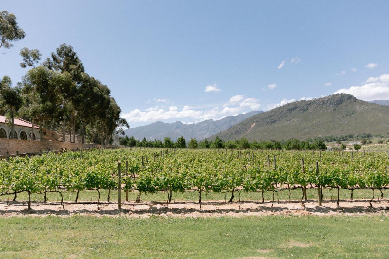 La Roche Estate Apartment Franschhoek Bagian luar foto